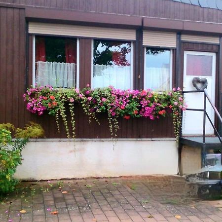 Ferienwohnung Halle/Lettin Halle  외부 사진