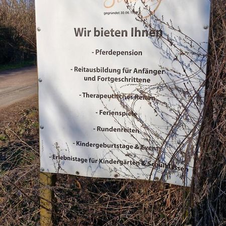 Ferienwohnung Halle/Lettin Halle  외부 사진