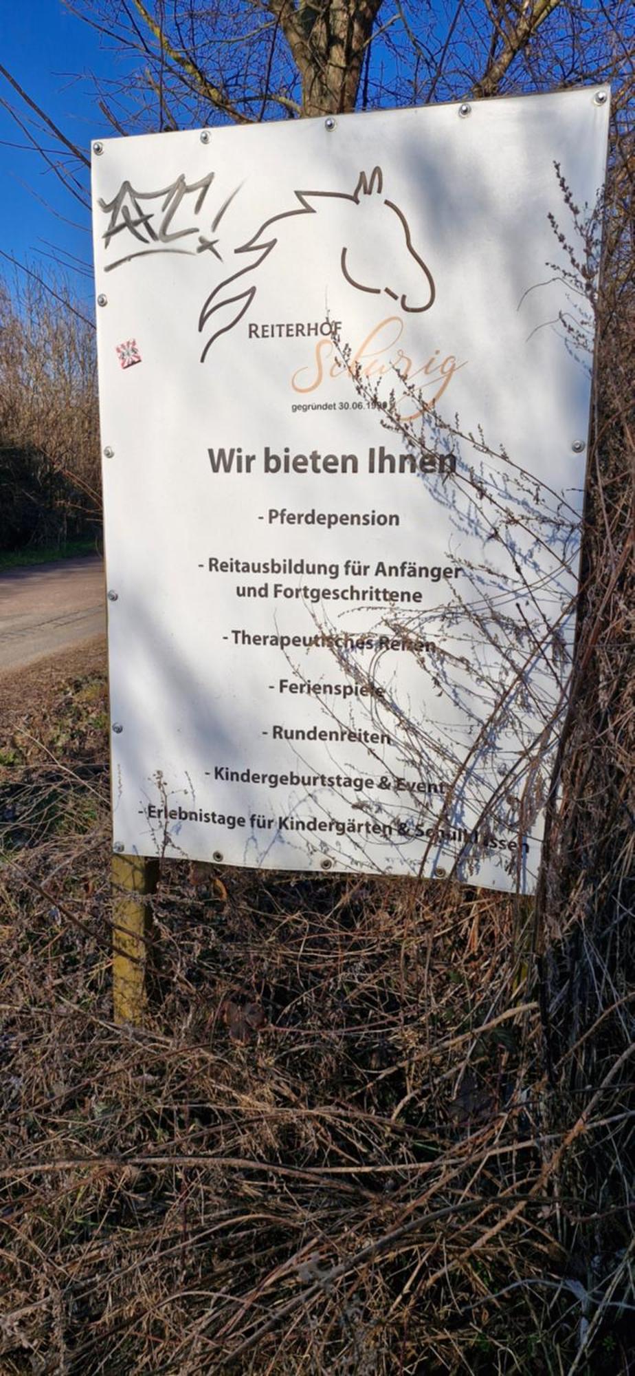 Ferienwohnung Halle/Lettin Halle  외부 사진